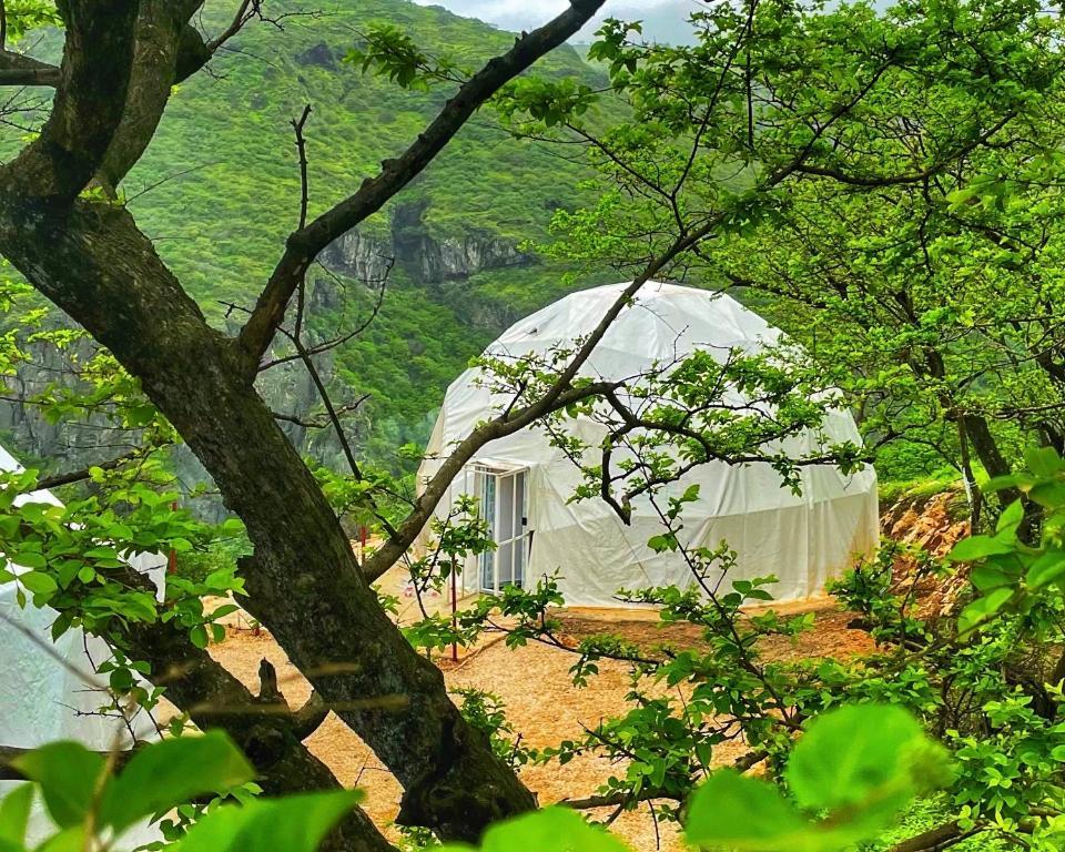 Salalah glamping